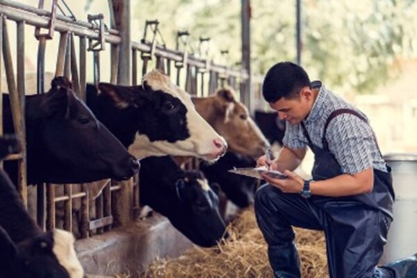 REPORT LOOKS TO EXCITING FUTURE FOR AGRICULTURE AND ANIMAL CARE TRAINING