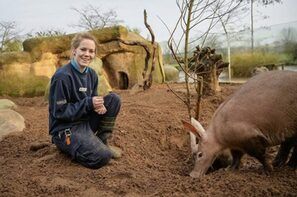 Chester Zoo to launch new animal apprenticeships scheme